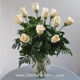 10 White Roses